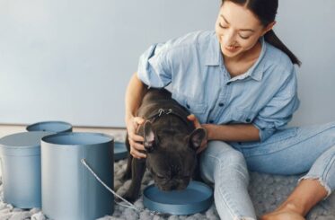 elegant-woman-blue-shirt-with-black-bulldog-min